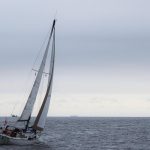 Rustler 31 - Zeilmakerij m-sails