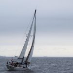 Rustler 31 - Zeilmakerij m-sails