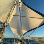 Contest 38S zeilmakerij m-sails nieuwe zeilen new sails